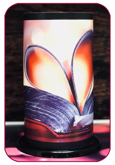 Valentine Twilight Lanterns