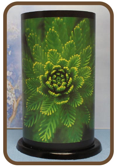 Artistic Twilight Lanterns