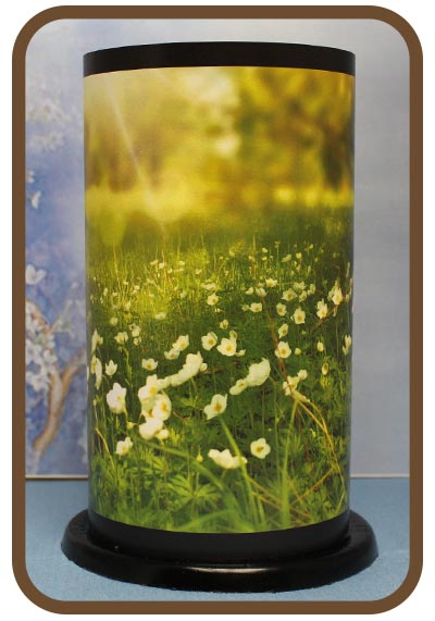 Artistic Twilight Lanterns