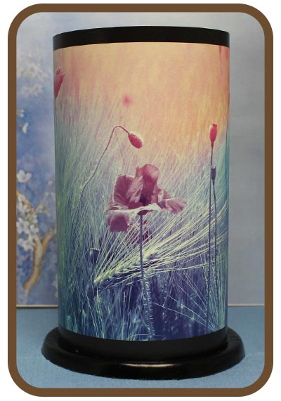 Artistic Twilight Lanterns