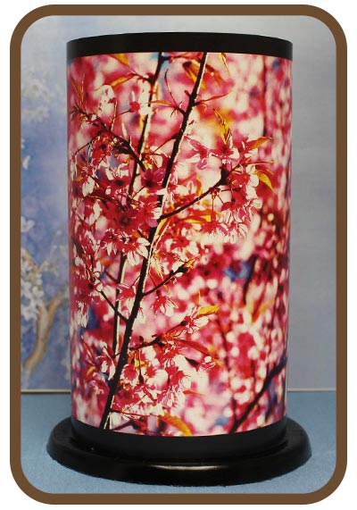 Artistic Twilight Lanterns