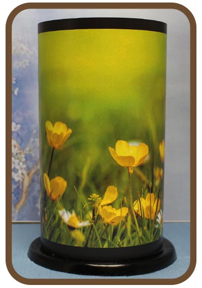 Artistic Twilight Lanterns